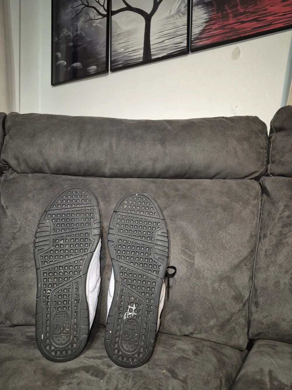 DC White and Black Skate Shoes